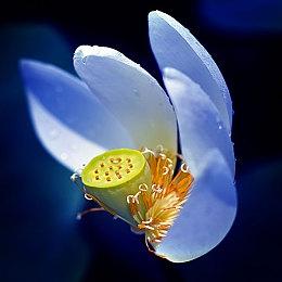 冒险解谜《整蛊鸦》将于8月15日 支持试玩